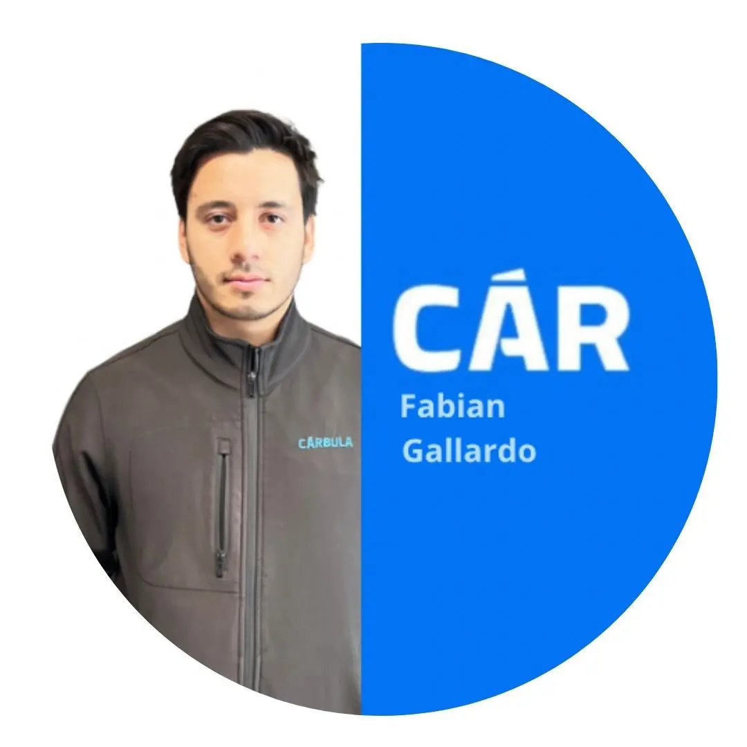 Ejecutivo Comercial de Carbula